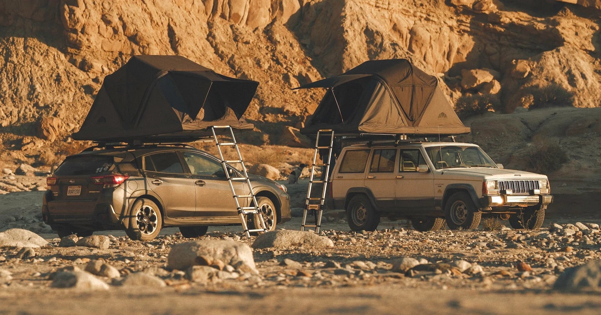 Image de couverture de la page d'accueil de Roof Space France